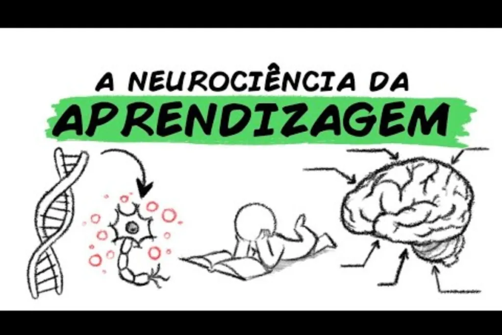 Neurociência do Aprendizado
