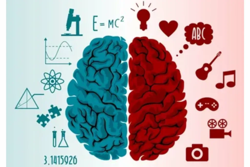 neurociência do aprendizado