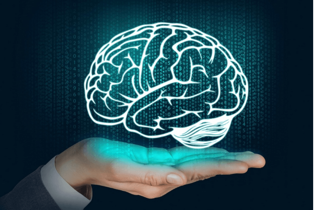 Neurociência do Aprendizado