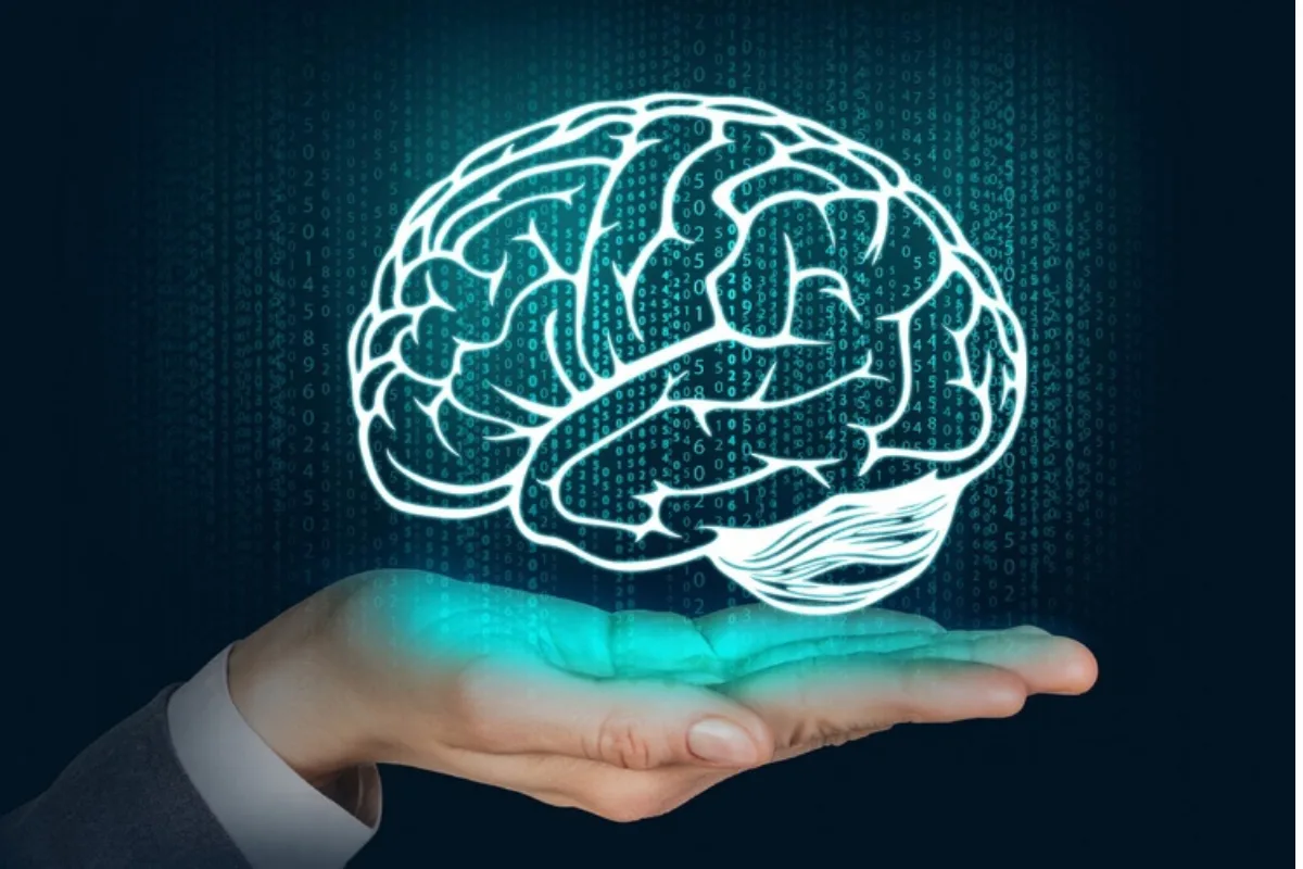 Neurociência do Aprendizado