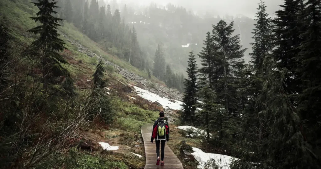 Pessoa com mochila caminhando por uma passarela de madeira em floresta montanhosa com neblina